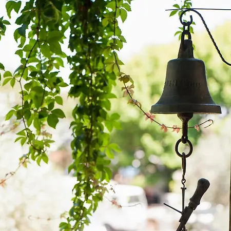 Spitaki Landsted Velika (Thessaly)